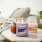 Yankee Candle - Floral Enchantment 538g | Ograničeno izdanje